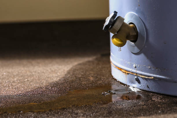 Best Basement water damage restoration  in Russell, GA