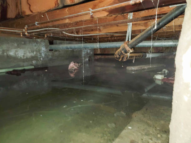 Best Residential water damage restoration  in Russell, GA