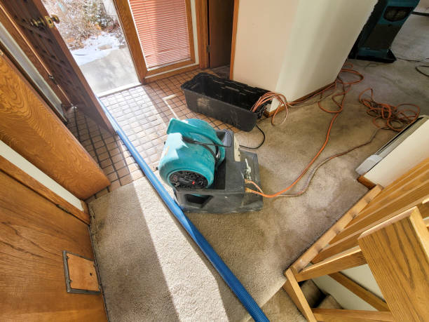 Best Flood damage cleanup  in Russell, GA