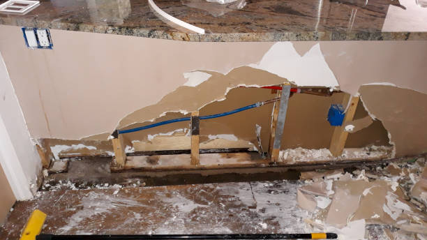 Best Water damage cleanup near me  in Russell, GA