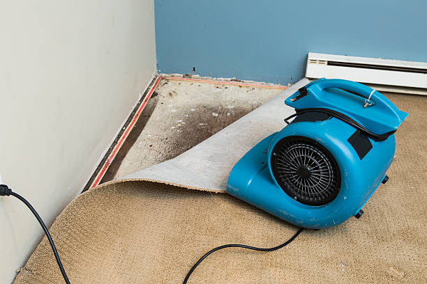 Professional Water damage restoration in Russell, GA